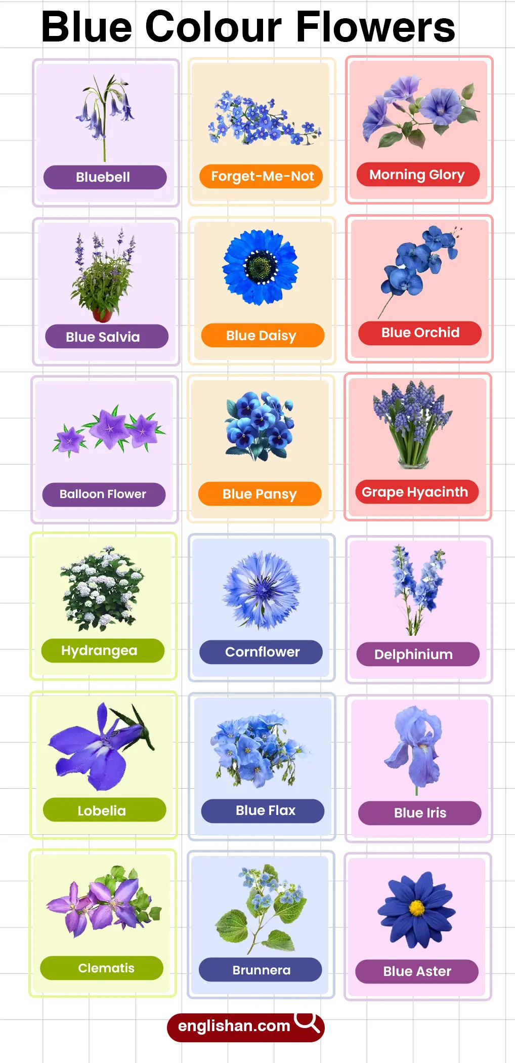Blue Colour Flowers Name List in English