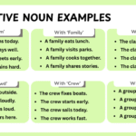 Collective Noun Examples in Sentences
