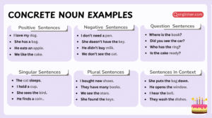 Concrete noun examples in sentences with clear usage patterns