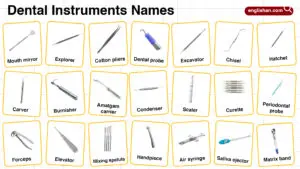 Dental Instruments Names in English with their Pictures