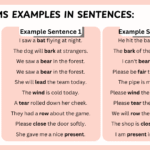 Homonyms Examples In Sentences With Usage