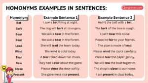 Homonyms Examples In Sentences With Usage