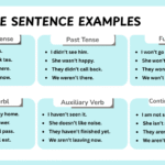 Negative sentence examples in clear English sentences for grammar learners