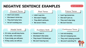 Negative sentence examples in clear English sentences for grammar learners