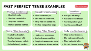 List of past perfect tense examples in English sentences