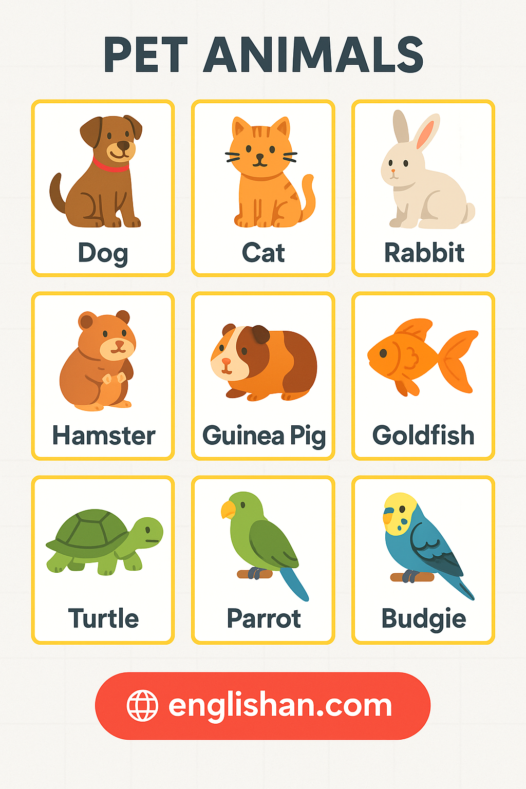 Pet Animals Names in English with Pictures