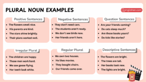 Plural noun examples in sentences with clear structure