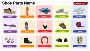 Shoe Parts Name in English with their Pictures
