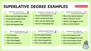 Superlative degree examples in sentences with grammar usage patterns
