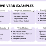 Transitive verb examples in English sentences with clear usage