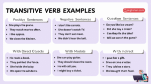 Transitive verb examples in English sentences with clear usage