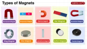 Types of Magnets in English with their Pictures