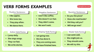 Verb Forms Examples In Sentences For Easy Grammar Learning