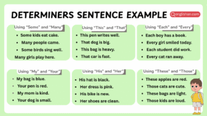 Determiners examples in sentences for English learners