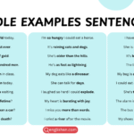 Hyperbole examples in sentences for English grammar structure learning