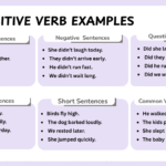 Intransitive verb examples in sentences with grammar usage