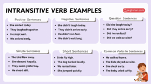Intransitive verb examples in sentences with grammar usage