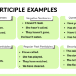 Past participle examples in sentences with usage patterns