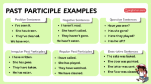 Past participle examples in sentences with usage patterns