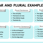 list of singular and plural examples in English sentences