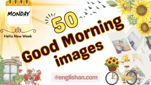 Beautiful Monday Good Morning wishes with sunrise