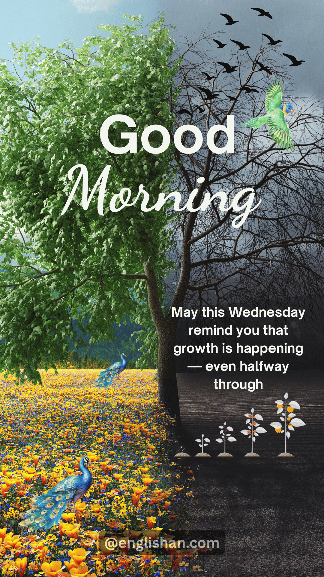 Short Wednesday Good Morning status ideas