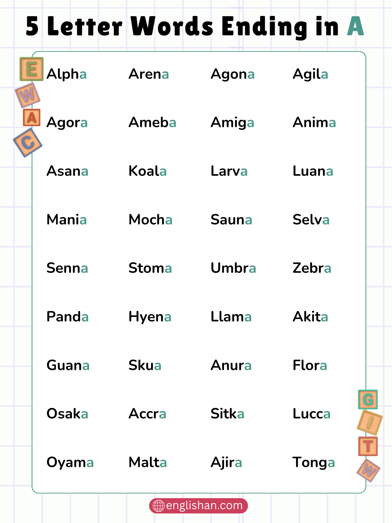 List of a ending five letter words including zebra pizza and arena with animal food and place examples