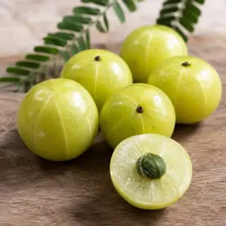 Emblica (Amla)