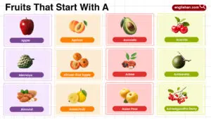 Fruits that start with a shown as a list with apple and apricot, with acai included among the words.