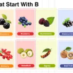 Fruits that start with B tropical and rare