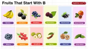 Fruits that start with B tropical and rare