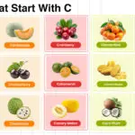 Fruits that start with C tropical, rare, healthy