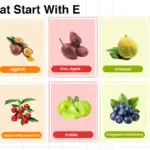 Fruits that start with E, like elderberry and eggfruit, listed as fruit words for learners.