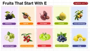 Fruits that start with E, like elderberry and eggfruit, listed as fruit words for learners.