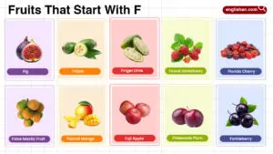 Fruits That Start With F including tropical, citrus, sweet fruits