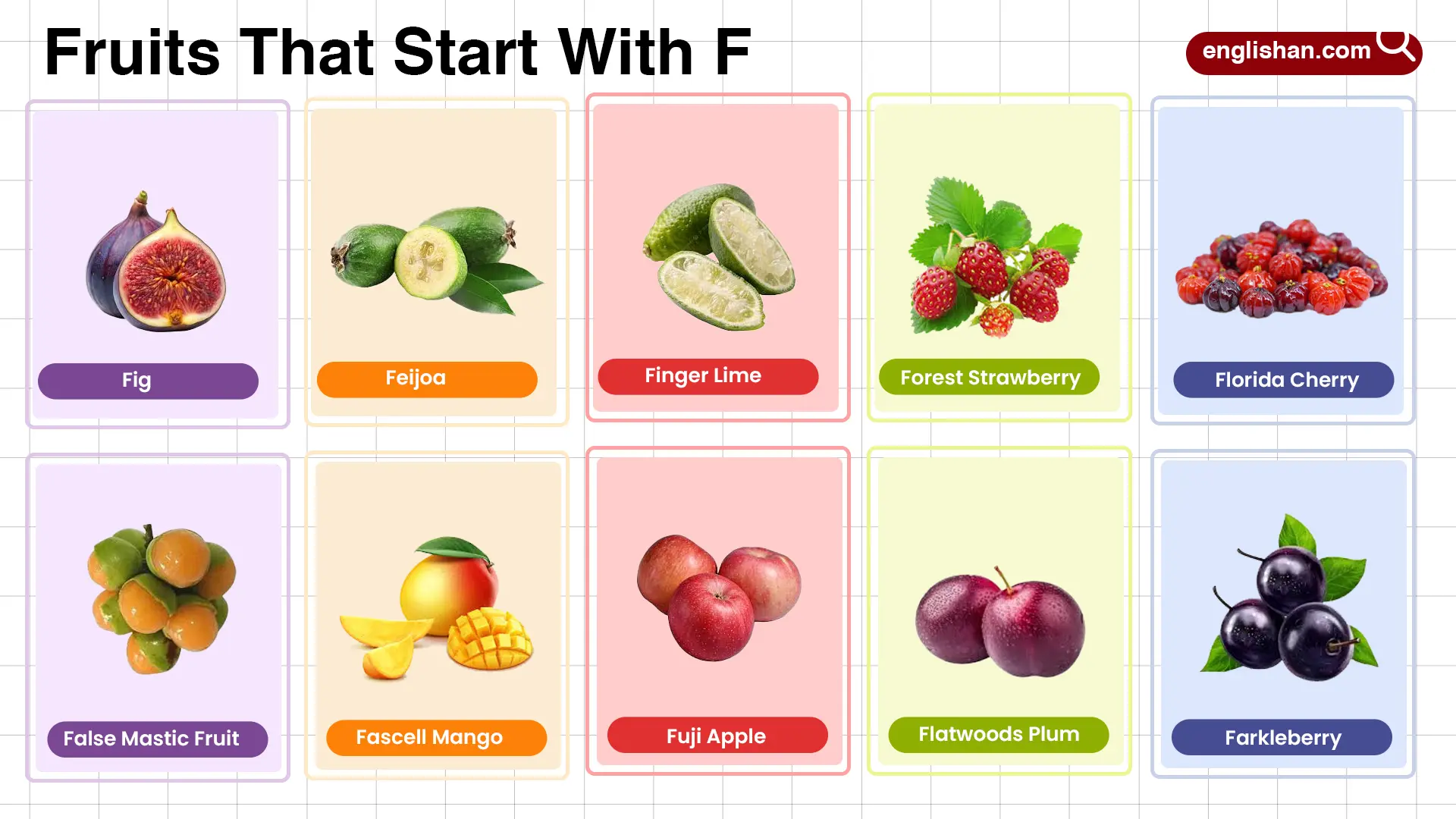 Fruits That Start With F including tropical, citrus, sweet fruits