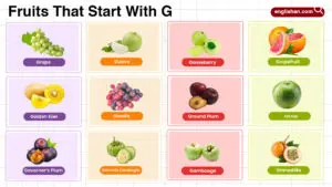 Fruits That Start With G including tropical, citrus, and sweet