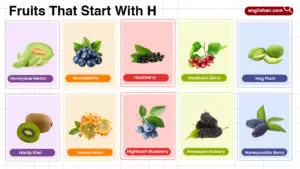 Fruits That Start With H including tropical and citrus