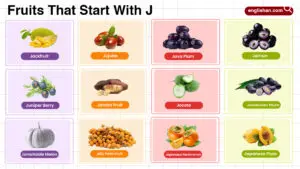 Fruits That Start With J including tropical and citrus fruits