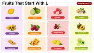 Fruits that start with L including tropical, citrus, exotic