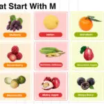 Fruits That Start With M including tropical, citrus, and rare fruits
