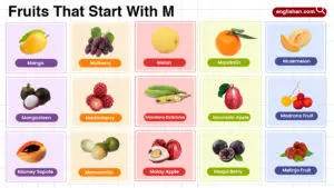 Fruits That Start With M including tropical, citrus, and rare fruits