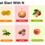 Fruits That Start With N including tropical, citrus, and rare fruits