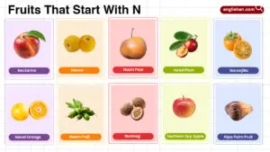 Fruits That Start With N including tropical, citrus, and rare fruits