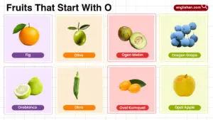 Fruits That Start With O including tropical, citrus, rare fruits