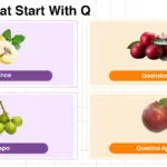Fruits that start with Q including tropical, rare, and sweet