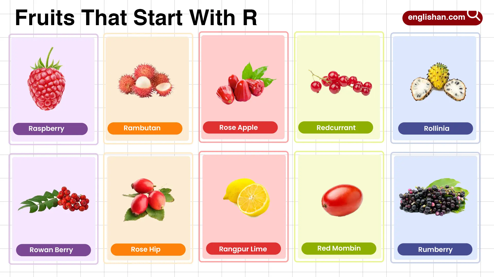 Fruits that start with R including tropical, rare, and sweet