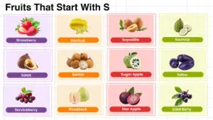 Fruits that start with S including tropical, citrus, and berry types