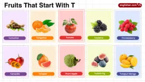 Fruits that start with T including tropical, citrus, berry
