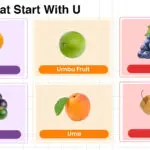 Fruits that start with U, tropical and exotic